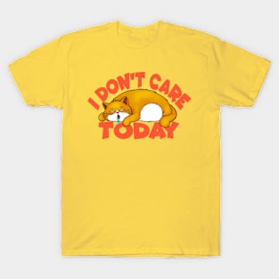 I Don't Care Today T-Shirt